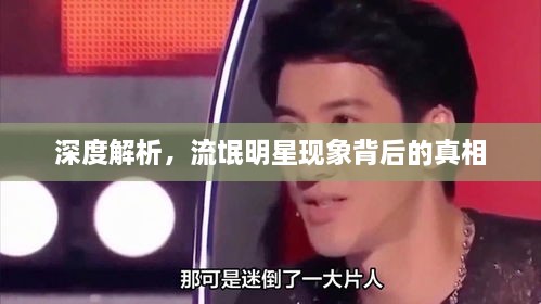 深度解析，流氓明星現(xiàn)象背后的真相