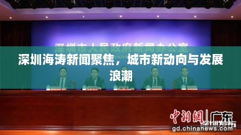 深圳海濤新聞聚焦，城市新動向與發(fā)展浪潮
