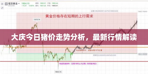大慶今日豬價(jià)走勢分析，最新行情解讀