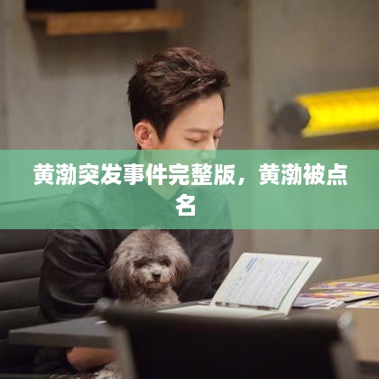 黃渤突發(fā)事件完整版，黃渤被點(diǎn)名 