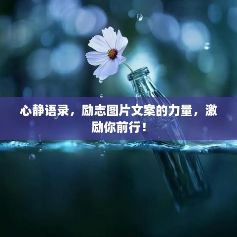 心靜語(yǔ)錄，勵(lì)志圖片文案的力量，激勵(lì)你前行！