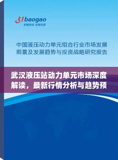 武漢液壓站動力單元市場深度解讀，最新行情分析與趨勢預(yù)測