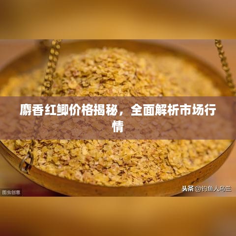 麝香紅鯽價(jià)格揭秘，全面解析市場行情