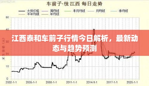 江西泰和車前子行情今日解析，最新動態(tài)與趨勢預(yù)測