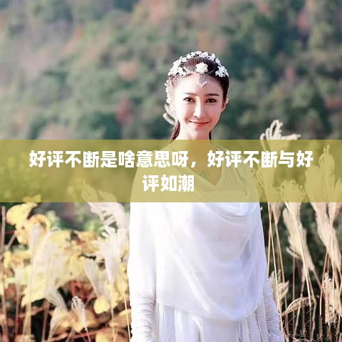 好評不斷是啥意思呀，好評不斷與好評如潮 