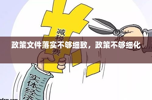 政策文件落實(shí)不夠細(xì)致，政策不夠細(xì)化 