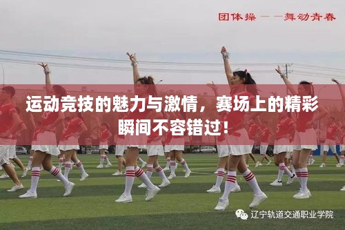 運(yùn)動(dòng)競(jìng)技的魅力與激情，賽場(chǎng)上的精彩瞬間不容錯(cuò)過(guò)！