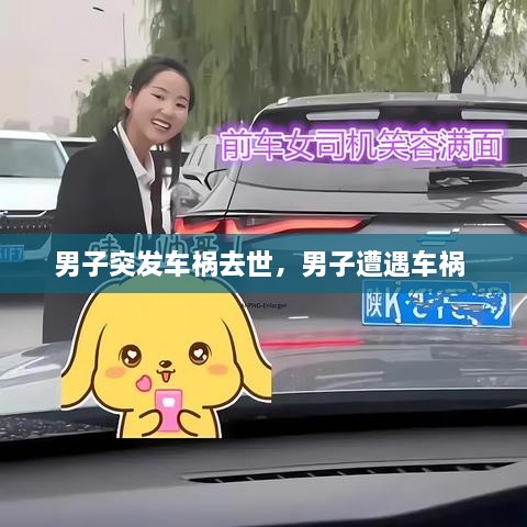 男子突發(fā)車禍去世，男子遭遇車禍 