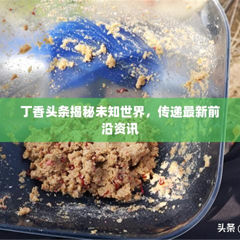 丁香頭條揭秘未知世界，傳遞最新前沿資訊