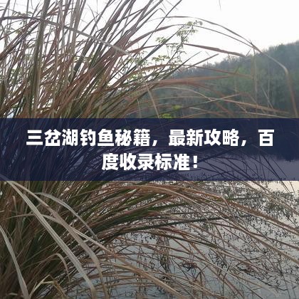 三岔湖釣魚秘籍，最新攻略，百度收錄標(biāo)準(zhǔn)！