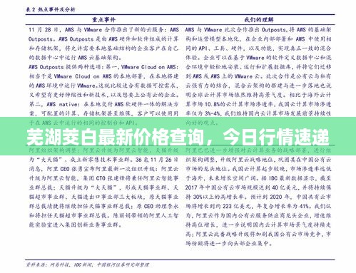 蕪湖茭白最新價(jià)格查詢，今日行情速遞