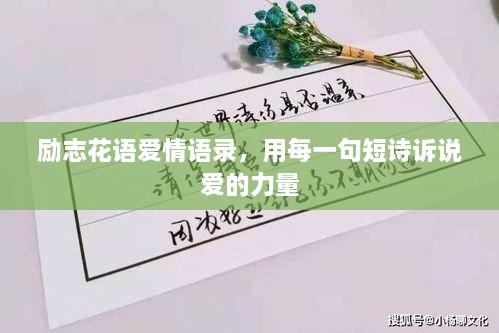 勵志花語愛情語錄，用每一句短詩訴說愛的力量