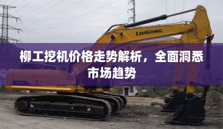 柳工挖機價格走勢解析，全面洞悉市場趨勢