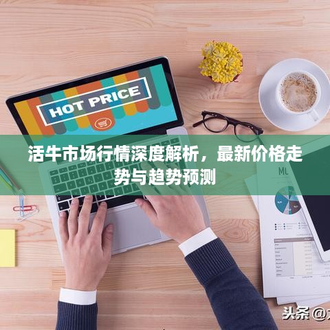 活牛市場行情深度解析，最新價格走勢與趨勢預(yù)測