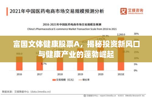 富國文體健康股票A，揭秘投資新風(fēng)口與健康產(chǎn)業(yè)的蓬勃崛起