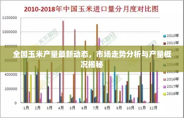 全國玉米產量最新動態(tài)，市場走勢分析與產量概況揭秘