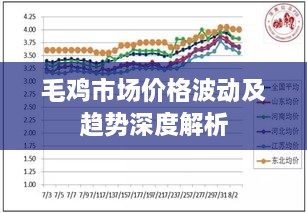 毛雞市場價(jià)格波動及趨勢深度解析