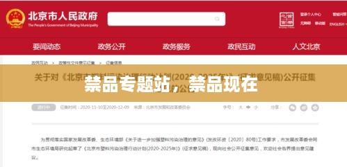 禁品專題站，禁品現(xiàn)在 