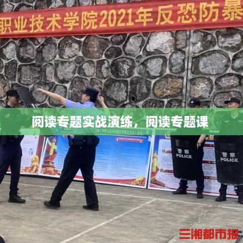 閱讀專題實(shí)戰(zhàn)演練，閱讀專題課 