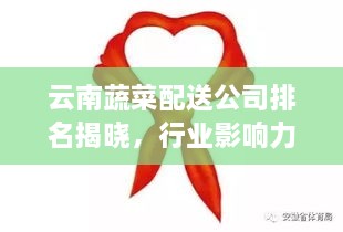 云南蔬菜配送公司排名揭曉，行業(yè)影響力大揭秘！