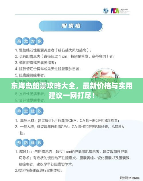 東海島船票攻略大全，最新價(jià)格與實(shí)用建議一網(wǎng)打盡！