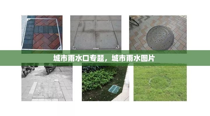 城市雨水口專題，城市雨水圖片 