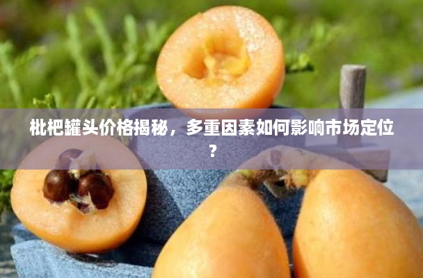 枇杷罐頭價(jià)格揭秘，多重因素如何影響市場(chǎng)定位？