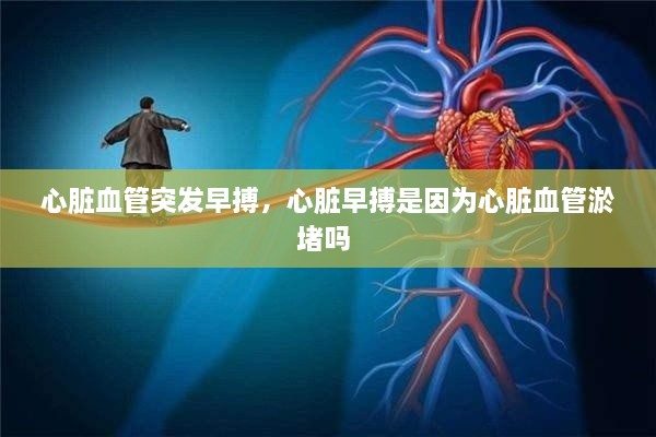 心臟血管突發(fā)早搏，心臟早搏是因為心臟血管淤堵嗎 