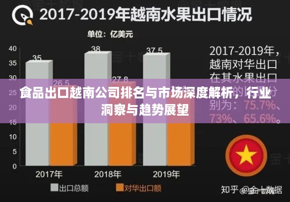 食品出口越南公司排名與市場(chǎng)深度解析，行業(yè)洞察與趨勢(shì)展望