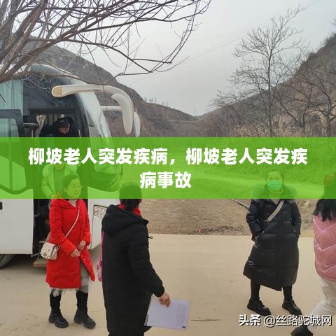 柳坡老人突發(fā)疾病，柳坡老人突發(fā)疾病事故 