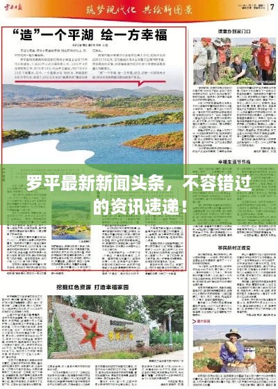 羅平最新新聞?lì)^條，不容錯(cuò)過的資訊速遞！