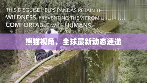 解決方案 第17頁