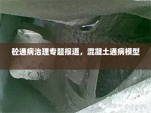 砼通病治理專題報(bào)道，混凝土通病模型 