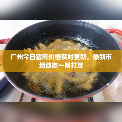 廣州今日豬肉價格實時更新，最新市場動態(tài)一網(wǎng)打盡