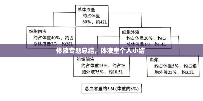 體液專題總結(jié)，體液室個人小結(jié) 