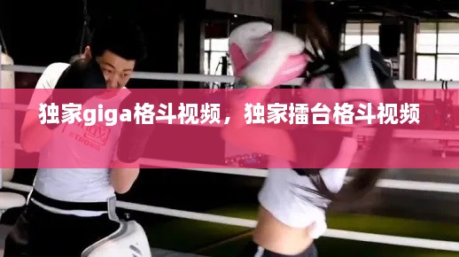 獨家giga格斗視頻，獨家擂臺格斗視頻 