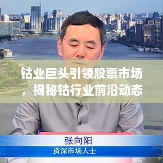 鈷業(yè)巨頭引領(lǐng)股票市場，揭秘鈷行業(yè)前沿動態(tài)與未來趨勢