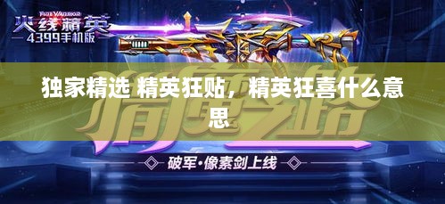 獨家精選 精英狂貼，精英狂喜什么意思 