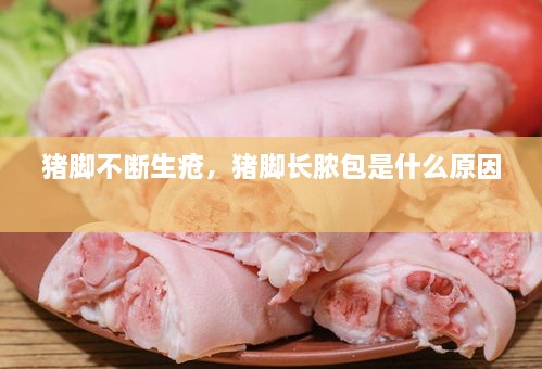 豬腳不斷生瘡，豬腳長膿包是什么原因 