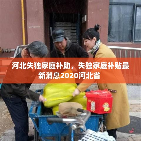 河北失獨(dú)家庭補(bǔ)助，失獨(dú)家庭補(bǔ)貼最新消息2020河北省 