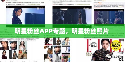 明星粉絲APP專題，明星粉絲照片 
