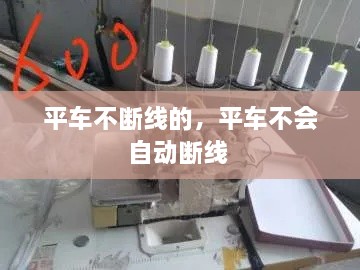 飛鳥依人