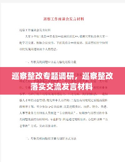 巡察整改專題調(diào)研，巡察整改落實(shí)交流發(fā)言材料 