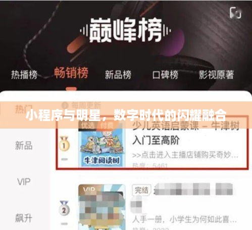 小程序與明星，數(shù)字時代的閃耀融合