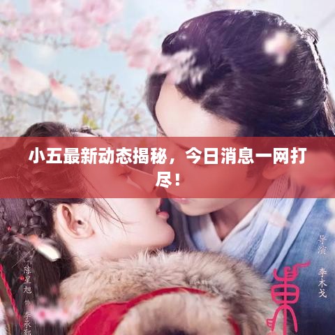 小五最新動態(tài)揭秘，今日消息一網(wǎng)打盡！
