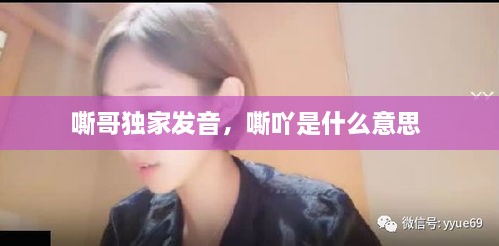 嘶哥獨(dú)家發(fā)音，嘶吖是什么意思 