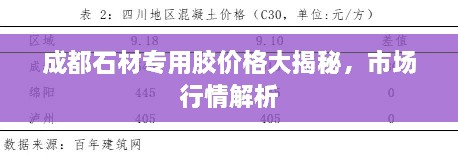 成都石材專用膠價(jià)格大揭秘，市場行情解析
