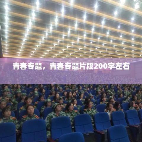 青春專(zhuān)題，青春專(zhuān)題片段200字左右 