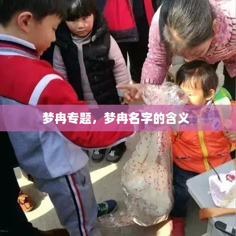 夢冉專題，夢冉名字的含義 