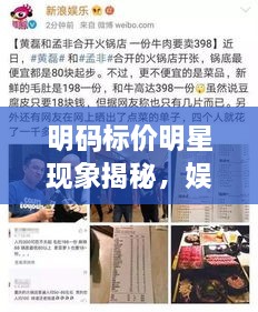 明碼標(biāo)價明星現(xiàn)象揭秘，娛樂圈的新挑戰(zhàn)與觀察